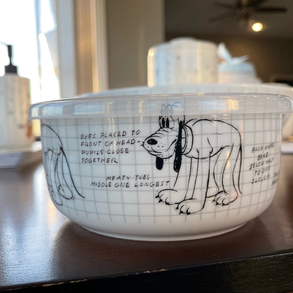Sketchbook Pluto bowl with vented lid.